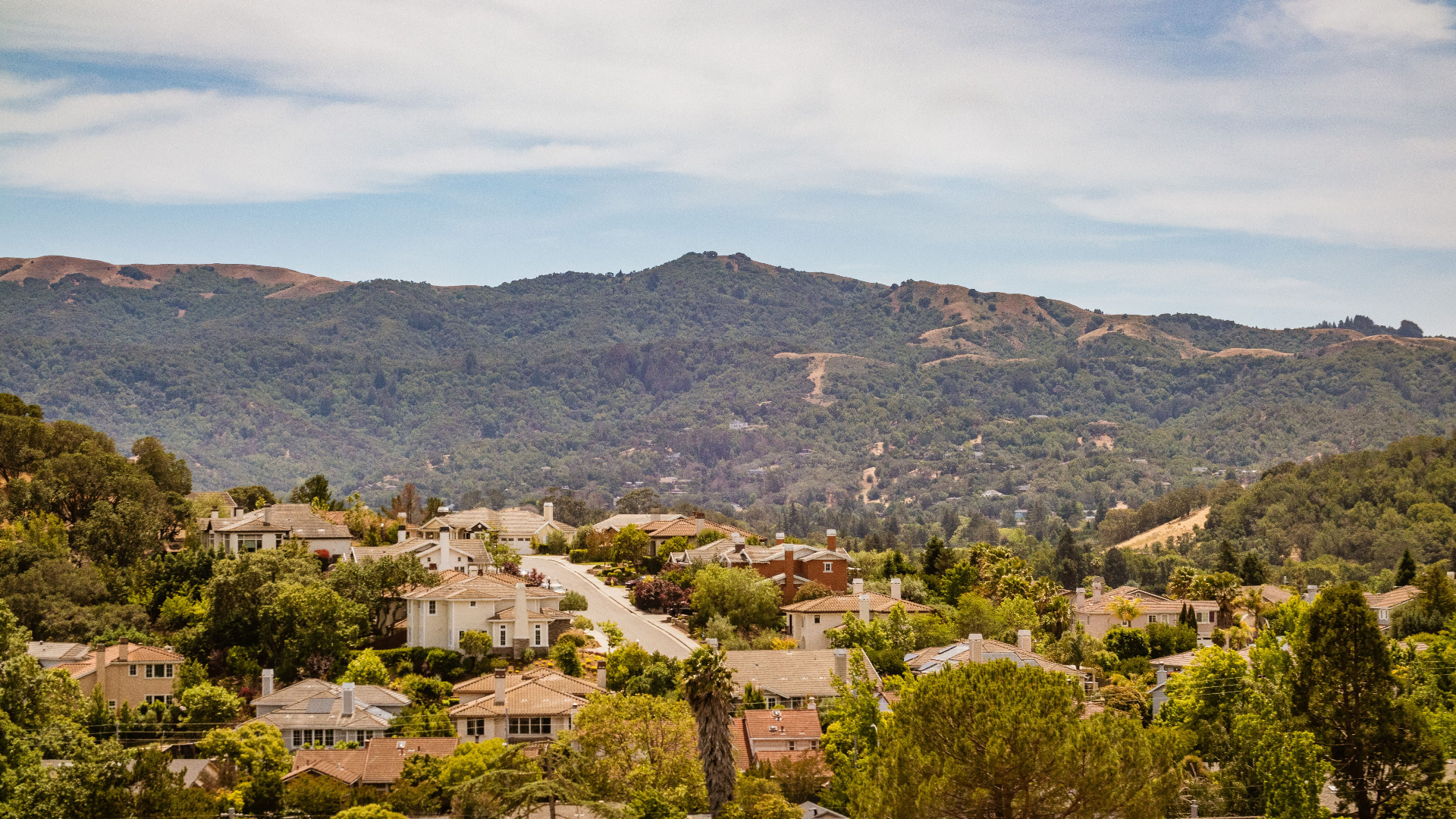 Suburban Novato neighborhood with terracotta rooftops, mature trees, and rolling green hills under a wide valley sky