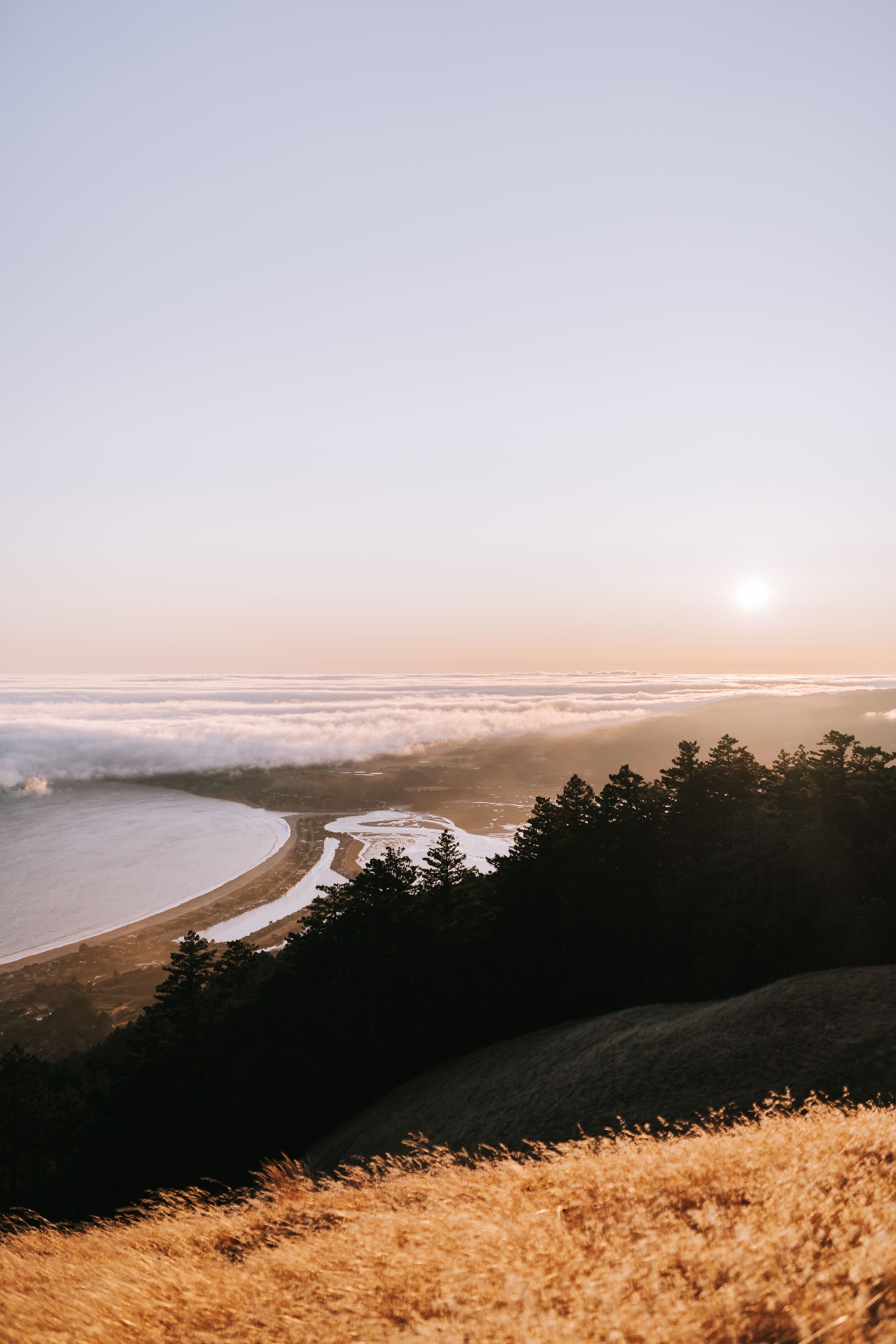 Golden sunset over the West Marin coast, with fog rolling above Tomales Bay and golden hillsides in the foreground