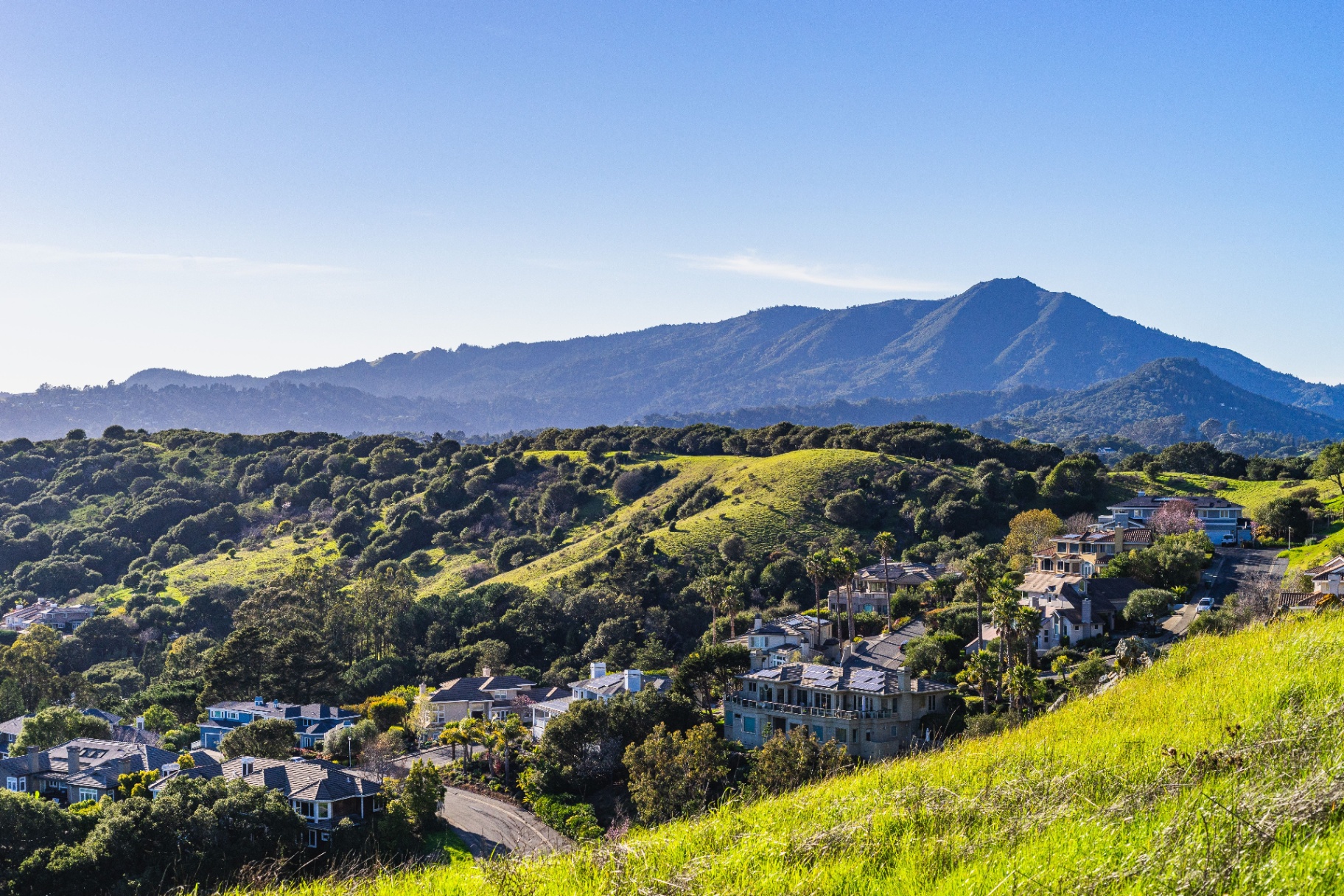 Mount Tamalpais rising over Mill Valley hillside homes and green spring hills